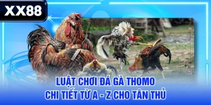 XX88 DISCO 🎖️ Trang Chủ XX88.COM T10.2026 | Đăng Ký XX 88 Ngay +198K