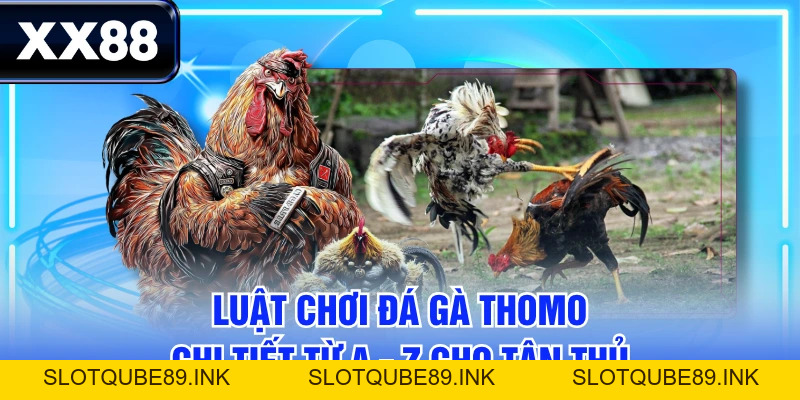 Luật Chơi Đá Gà Thomo Chi Tiết Từ A - Z Cho Tân Thủ